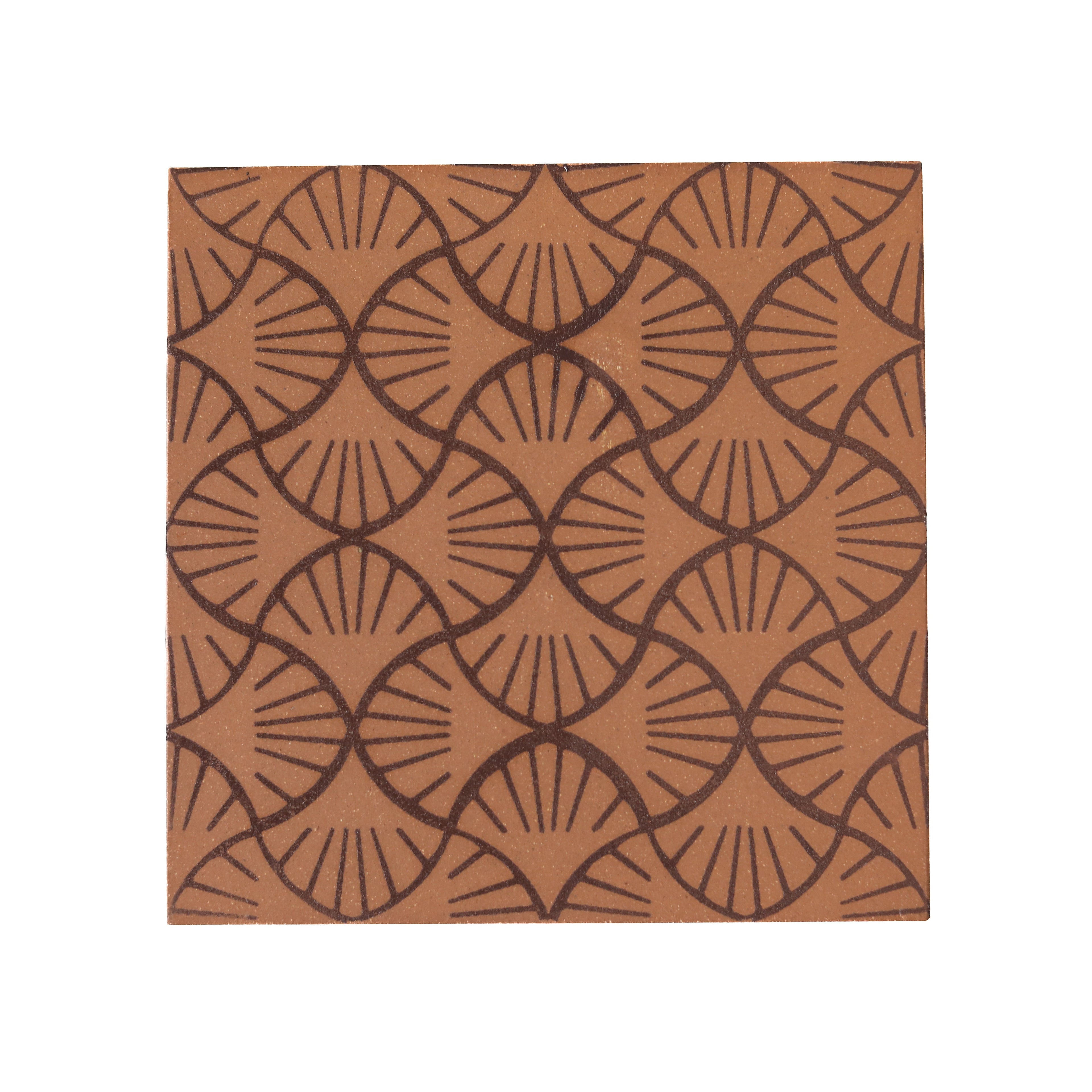 Aiya | Terracotta