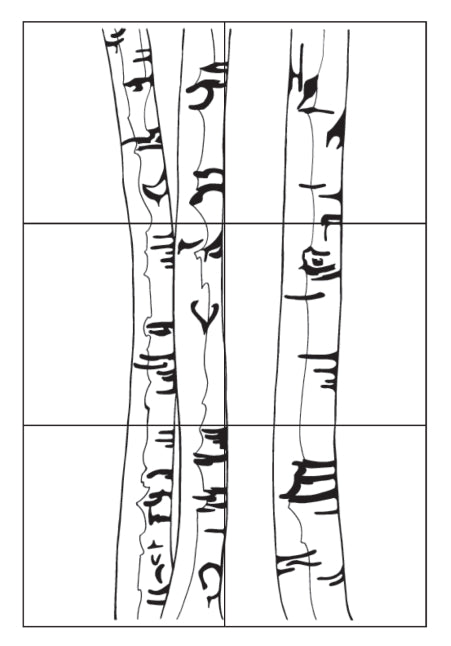 Birch Tree