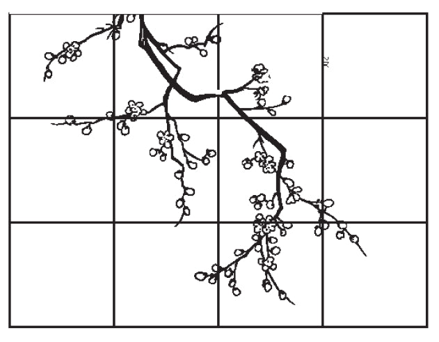 Sakura Cherry Mural
