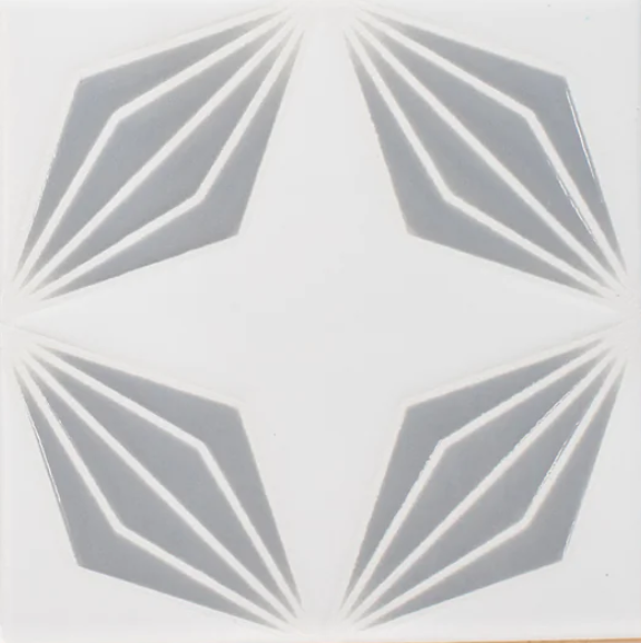 Hoshi Akari | Cool Palette